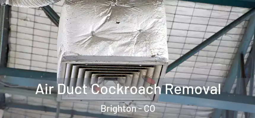  Air Duct Cockroach Removal Brighton - CO
