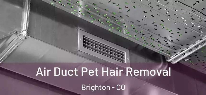 Air Duct Pet Hair Removal Brighton - CO