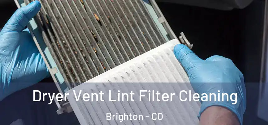  Dryer Vent Lint Filter Cleaning Brighton - CO