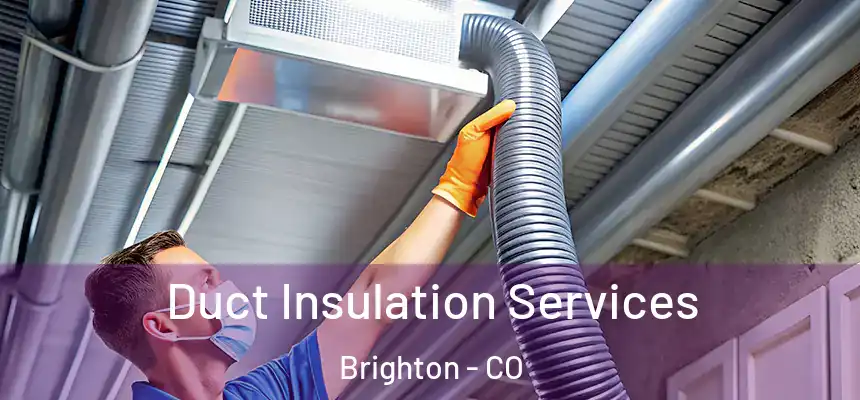  Duct Insulation Services Brighton - CO