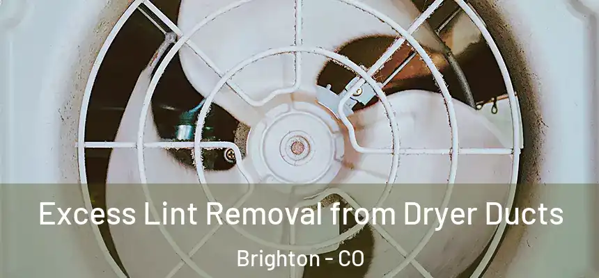  Excess Lint Removal from Dryer Ducts Brighton - CO