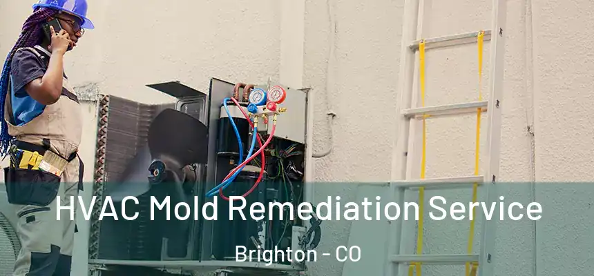  HVAC Mold Remediation Service Brighton - CO