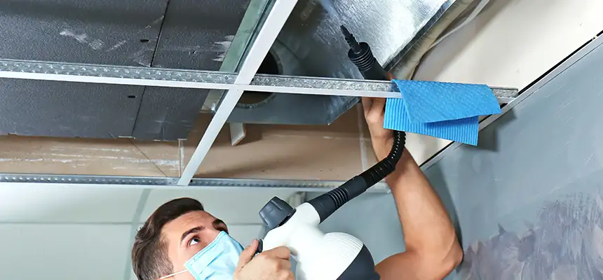 Our Air Duct Rodent Removal Services in Brighton, CO