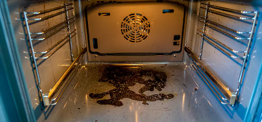 Our Dryer Vent Mold Cleaning Services in Brighton, CO