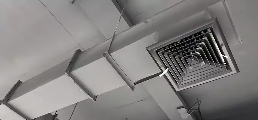 Our Rodent Droppings In Vents Services in Brighton, CO