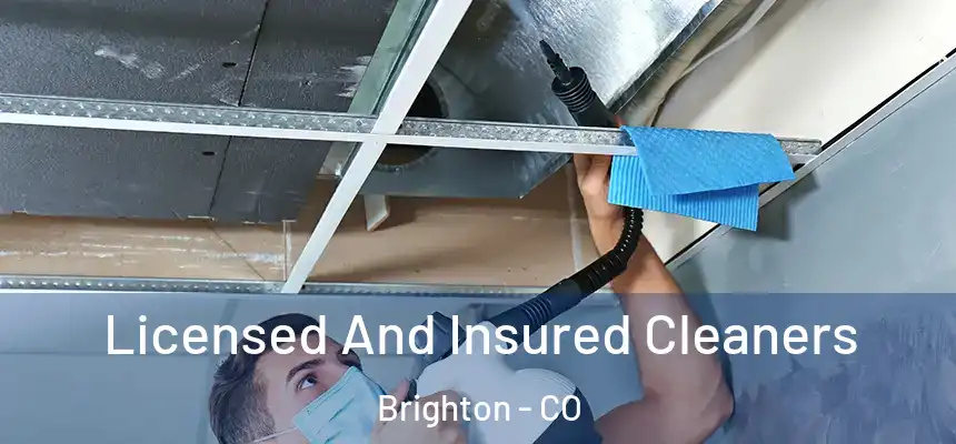  Licensed And Insured Cleaners Brighton - CO
