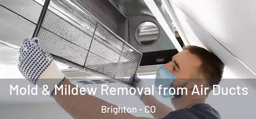  Mold & Mildew Removal from Air Ducts Brighton - CO