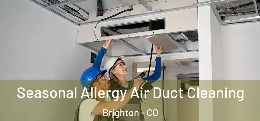 Seasonal Allergy Air Duct Cleaning Brighton - CO