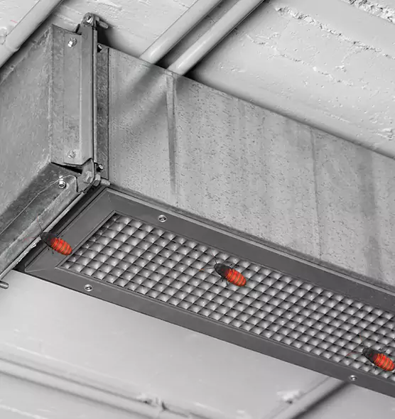 About Air Duct Cockroach Removal in Brighton, CO