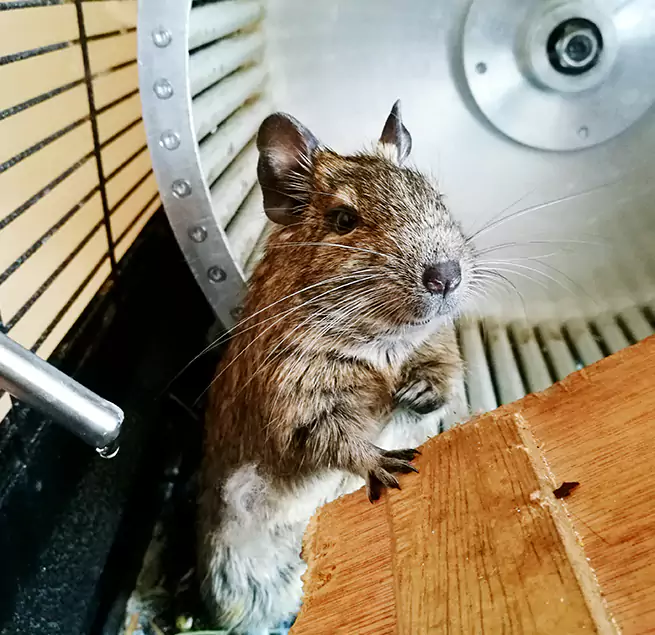 Why Homeowners & Businesses Trust Us Brighton, CO