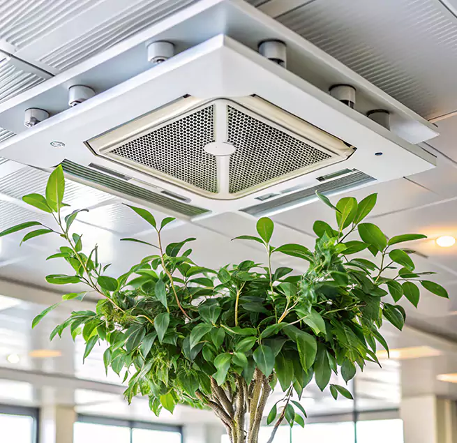 Why Homeowners & Businesses Trust Us in Brighton, CO