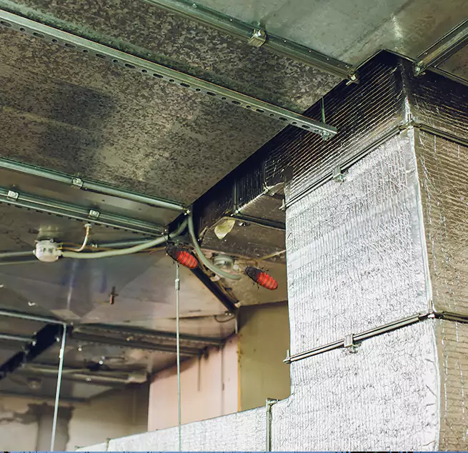 Why Homeowners & Businesses Trust Us Brighton, CO?