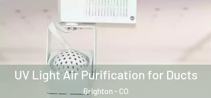  UV Light Air Purification for Ducts Brighton - CO